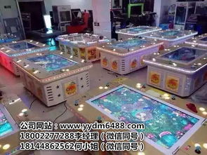 游戲廳電玩游戲機大全——探訪廣州市番禺區(qū)東環(huán)勇車動漫產(chǎn)品開發(fā)部